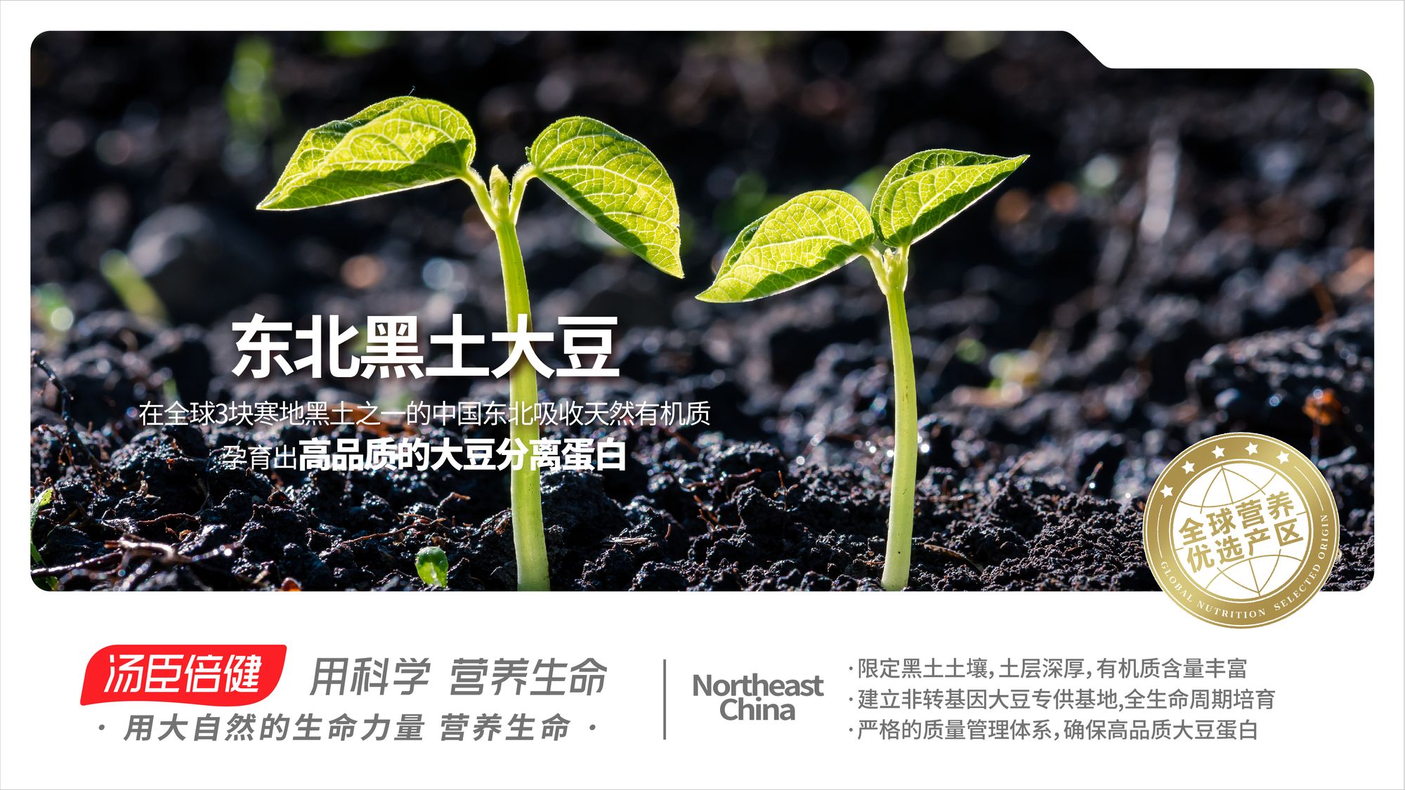Northeast China Black-soil Soybeans