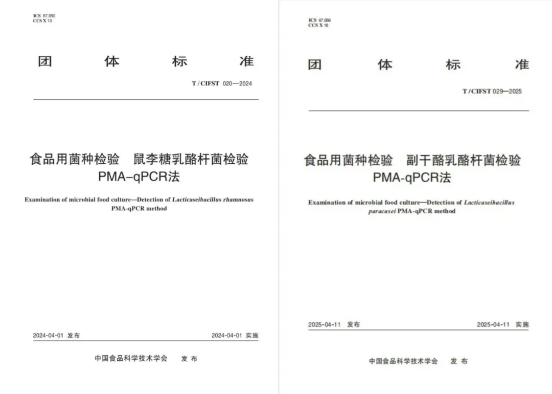 由中国食品科学技术学会发布的《食品用菌种检验 鼠李糖乳酪杆菌检验PMA-qPCR法》(T/CIFST 020-2024)、《食品用菌种检验 副干酪乳酪杆菌检验PMA-qPCR法》(T/CIFST 029-2025)两项团体标准